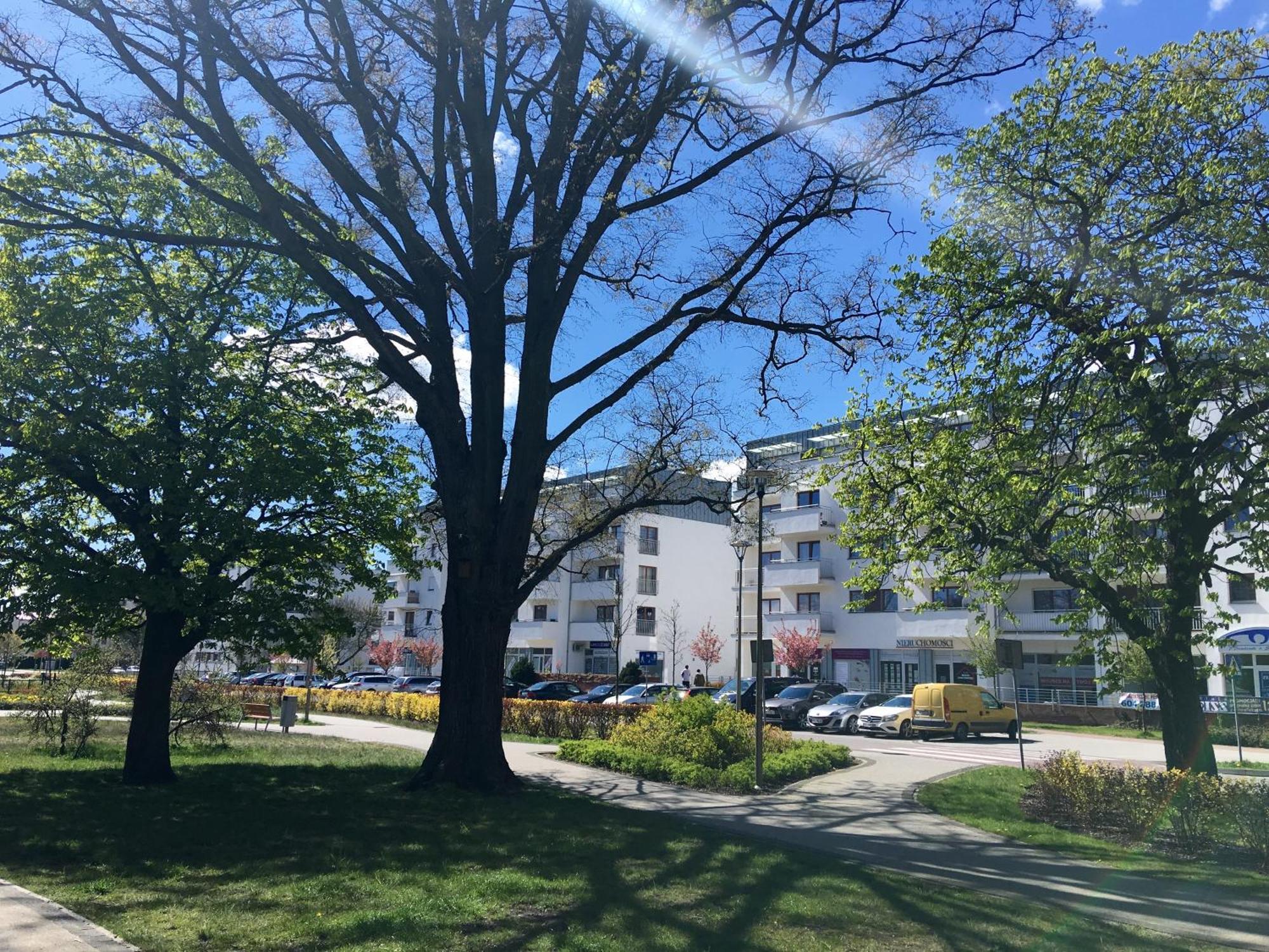 Apartamenty Platan - Visitopl Świnoujście Exterior foto